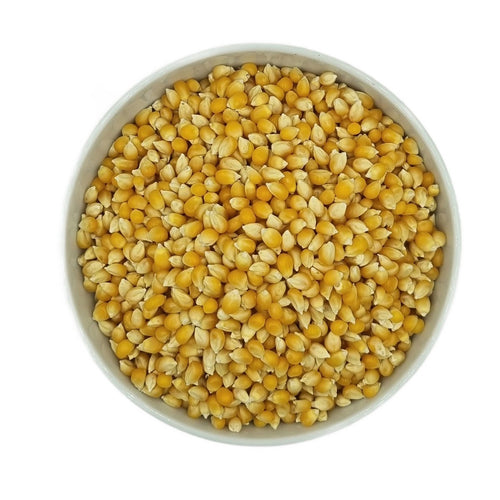 Καλαμπόκι για Pop Corn premium – σπόροι για τραγανό ποπ κορν σπίτι από την Epilekton
